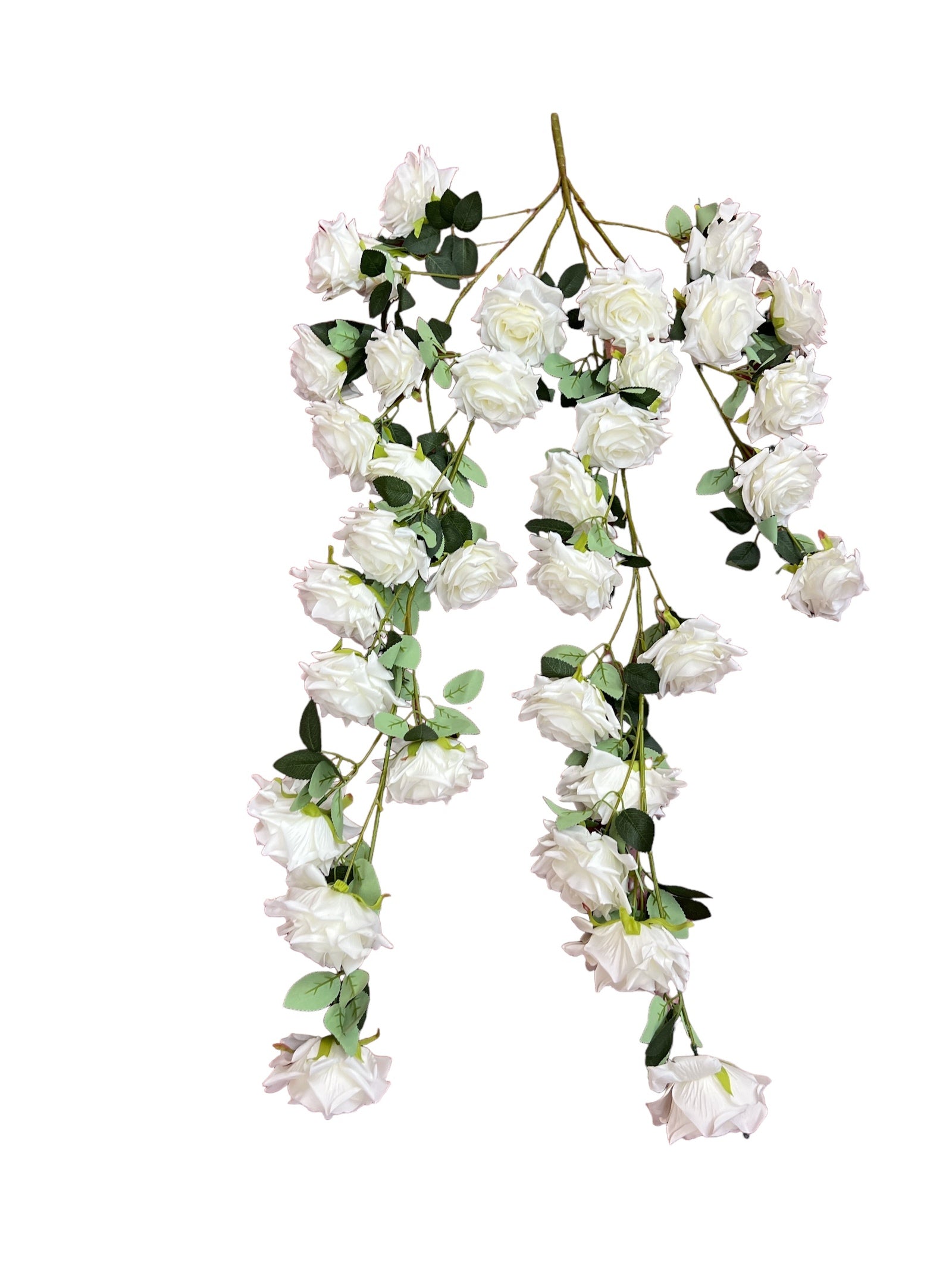 Photoroom_20240710_152504