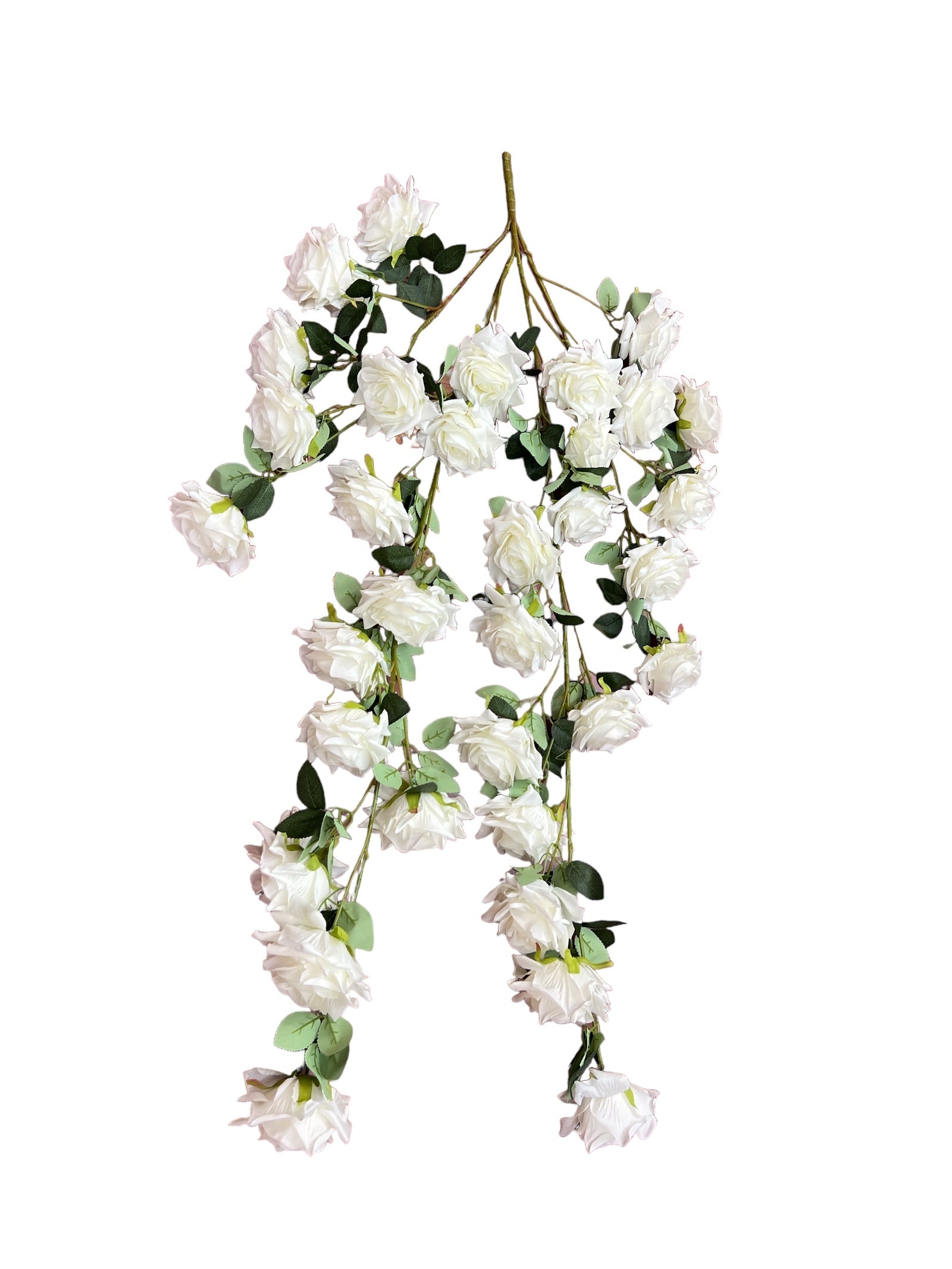 Photoroom_20240710_152630