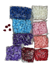 Photoroom_20240710_154739