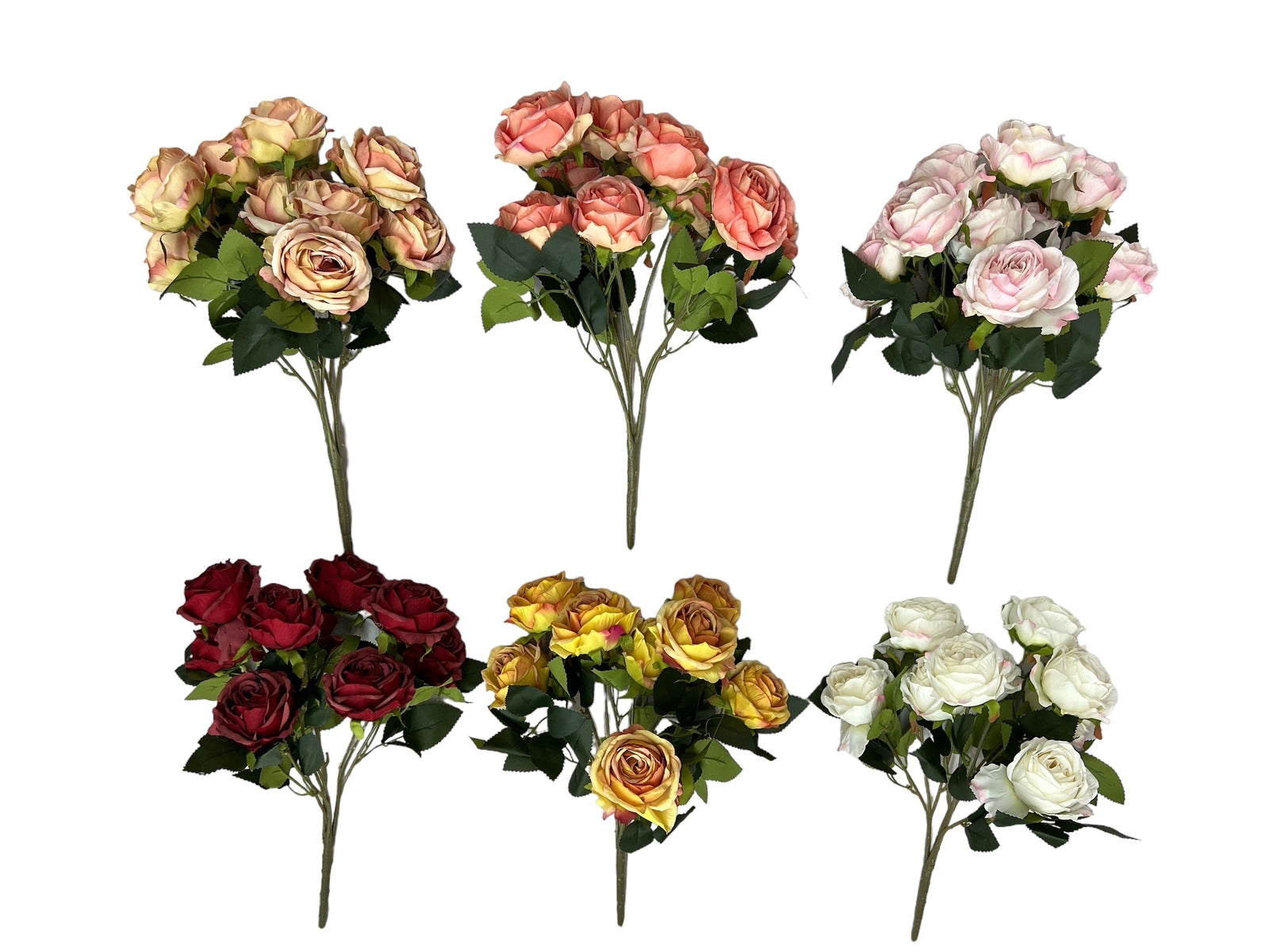 Photoroom_20240806_122032