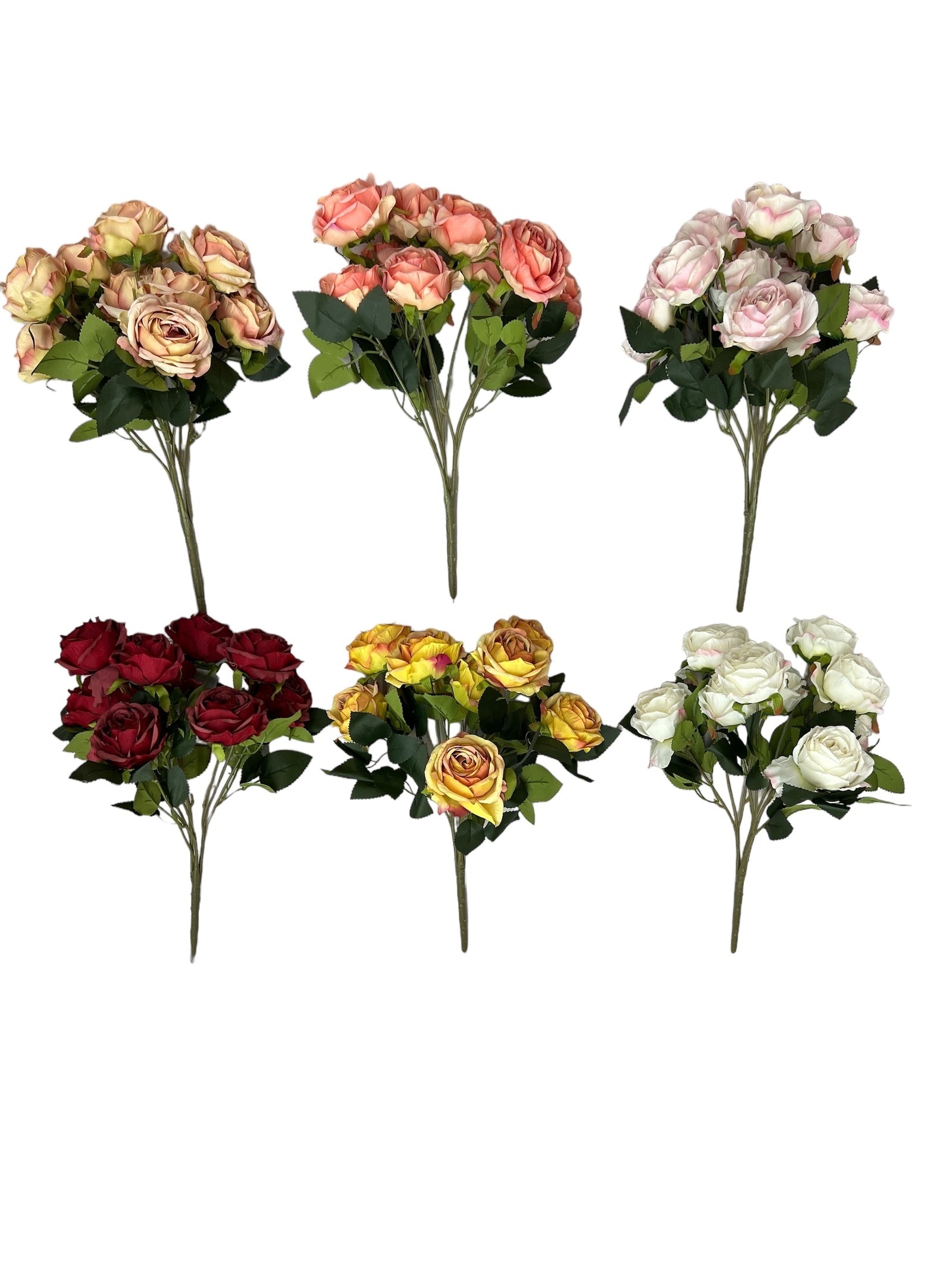 Photoroom_20240806_122103