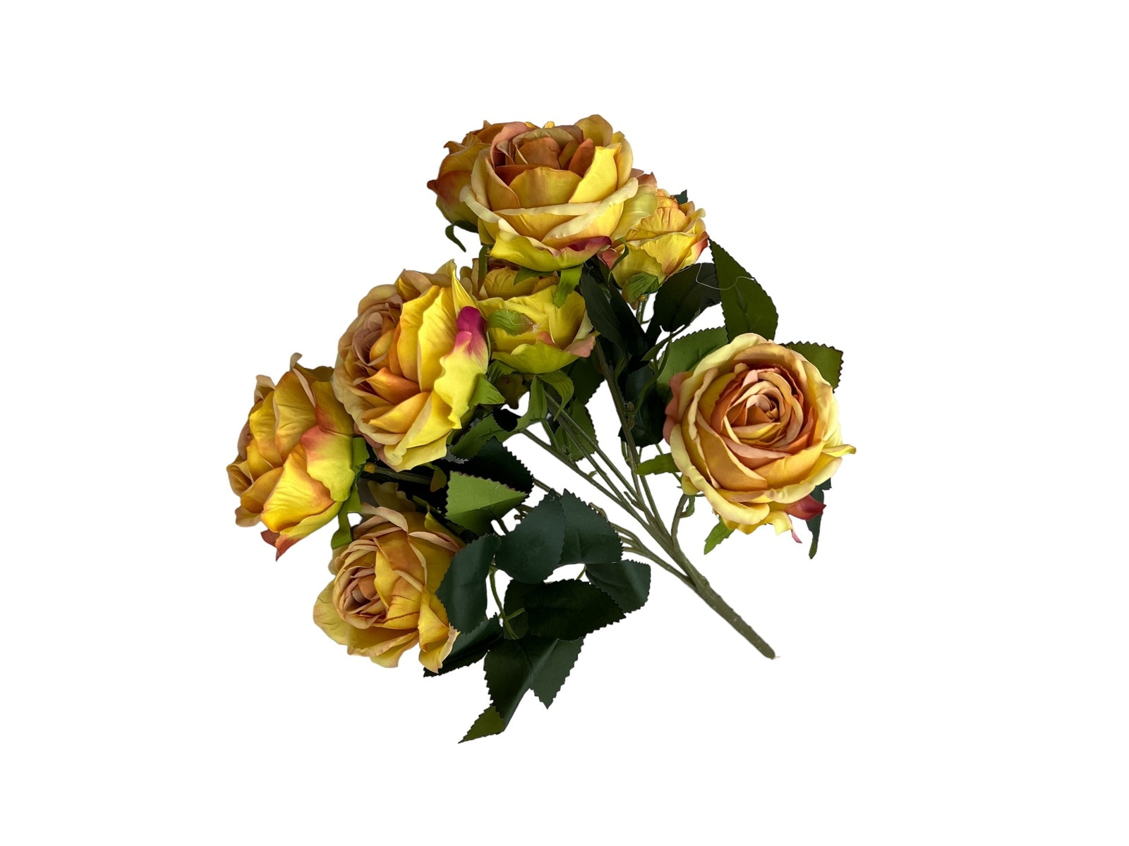 Photoroom_20240806_122212