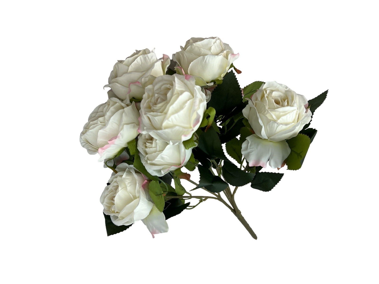 Photoroom_20240806_122246