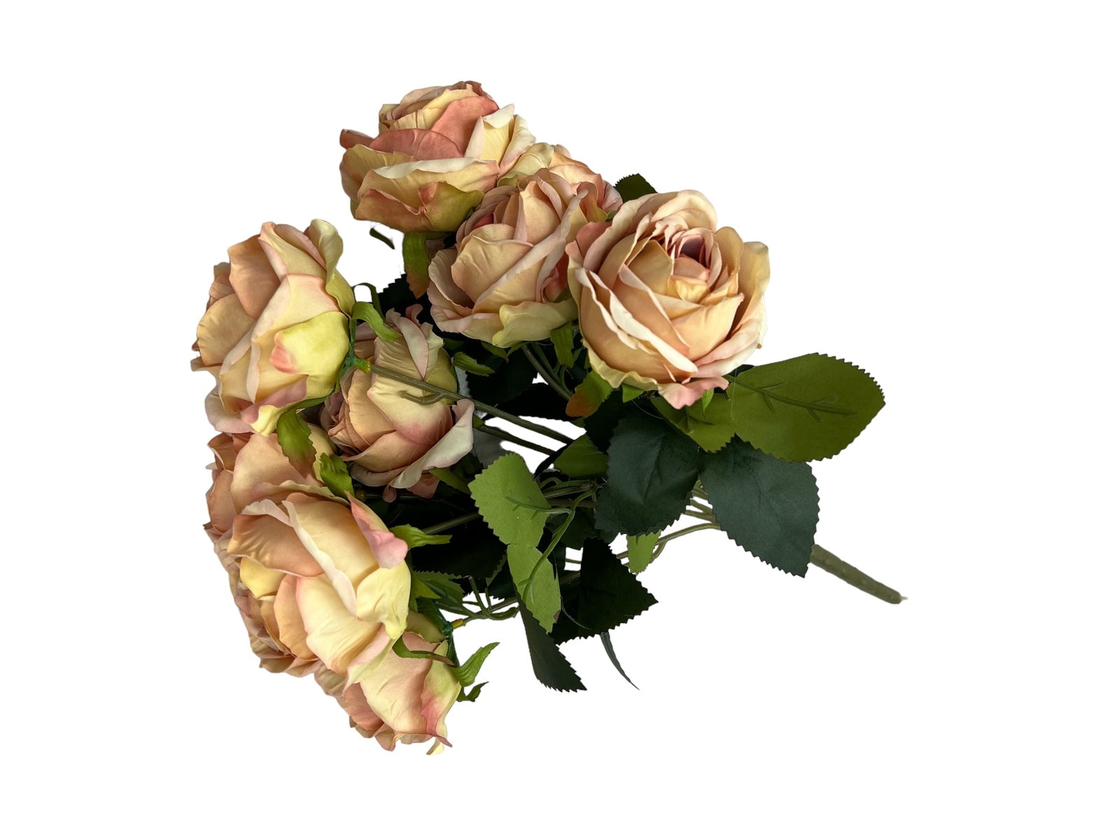 Photoroom_20240806_122307