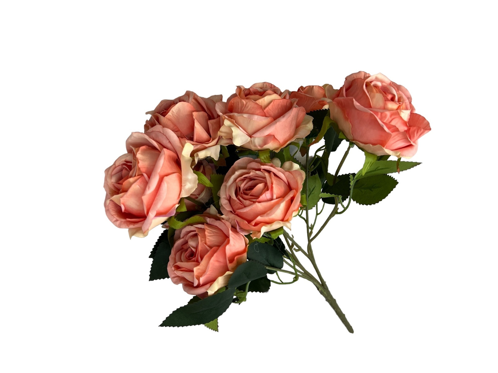 Photoroom_20240806_122417