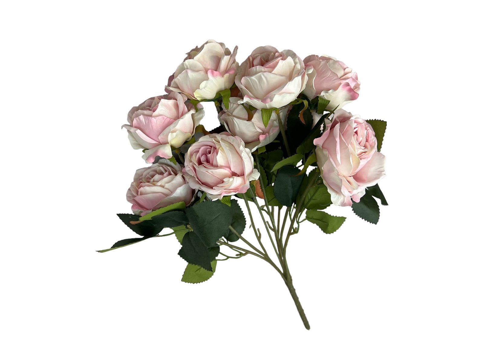 Photoroom_20240806_122445