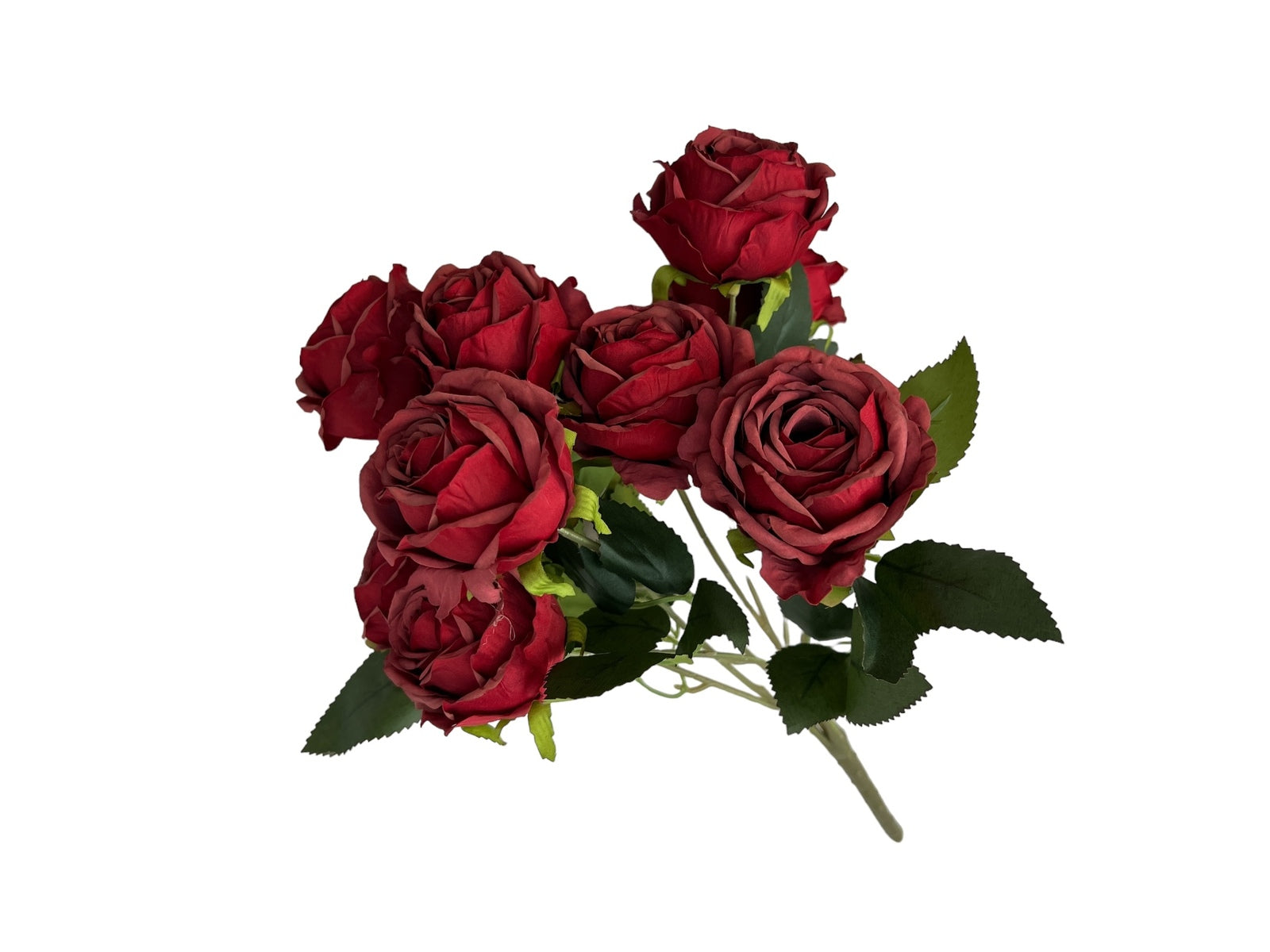 Photoroom_20240806_122513