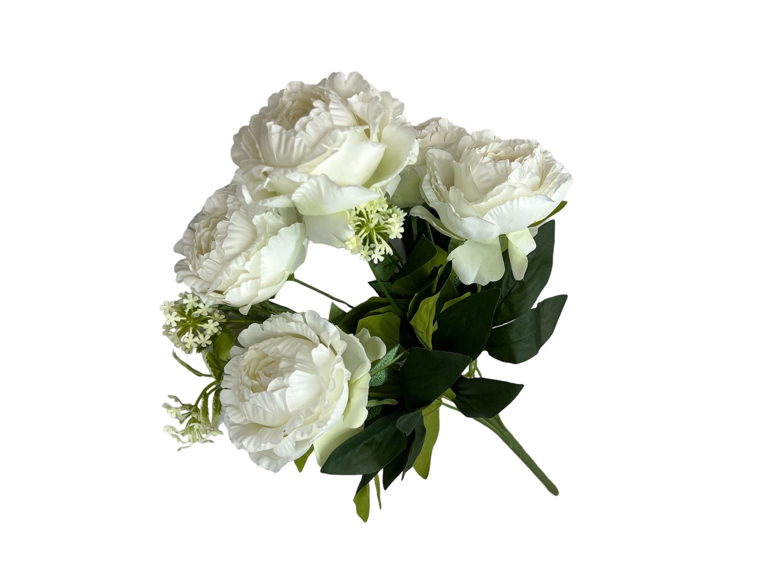 Photoroom_20240806_123321