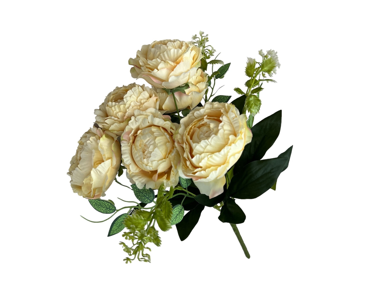 Photoroom_20240806_123346