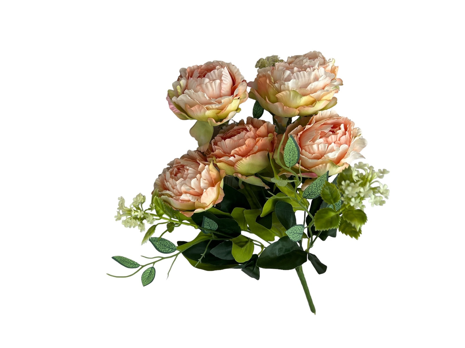 Photoroom_20240806_123427