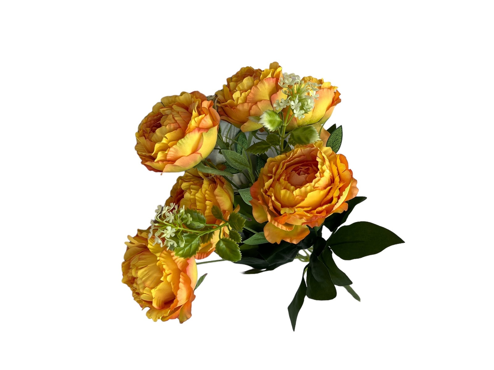 Photoroom_20240806_123455