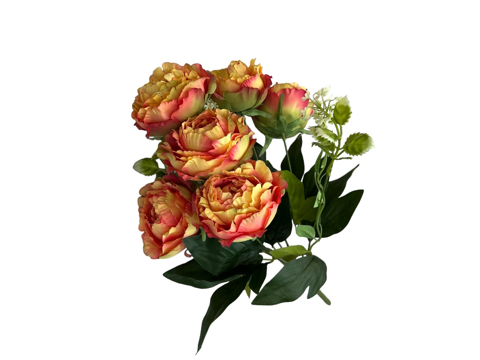 Photoroom_20240806_123517