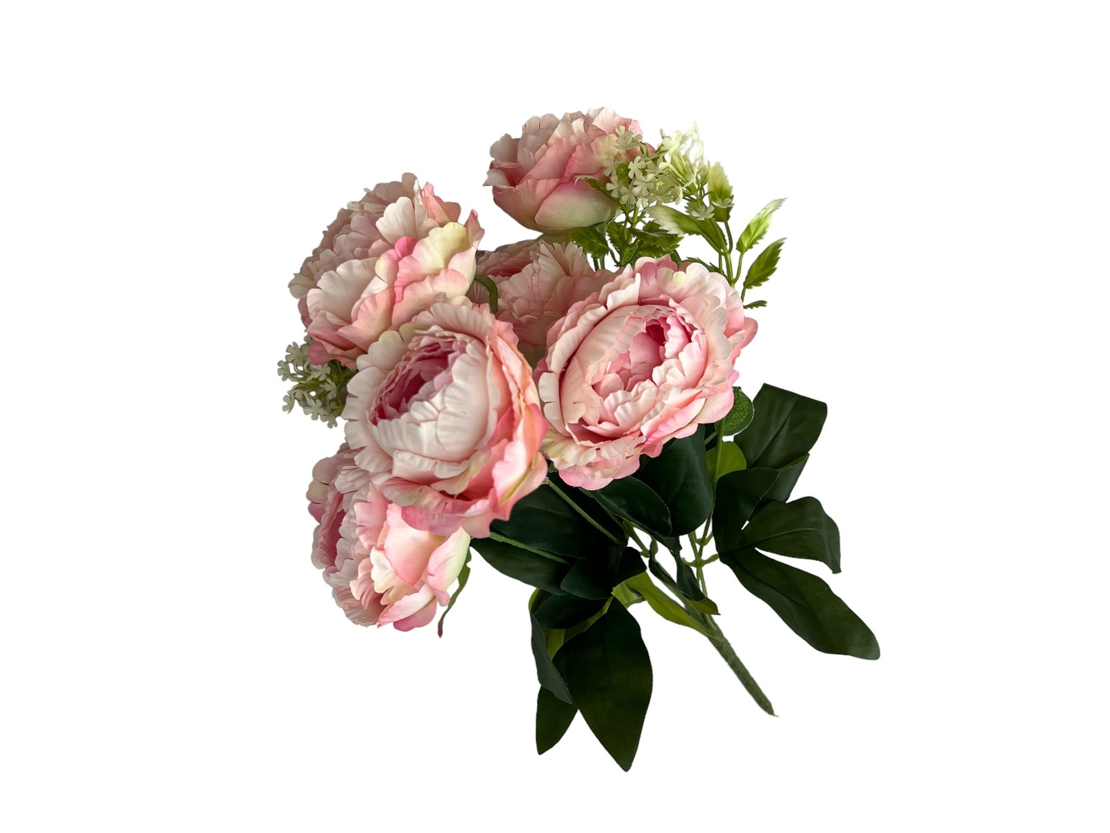 Photoroom_20240806_123553