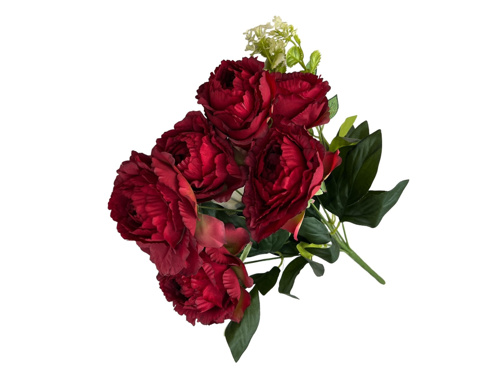 Photoroom_20240806_123723