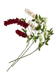 Photoroom_20240806_124157