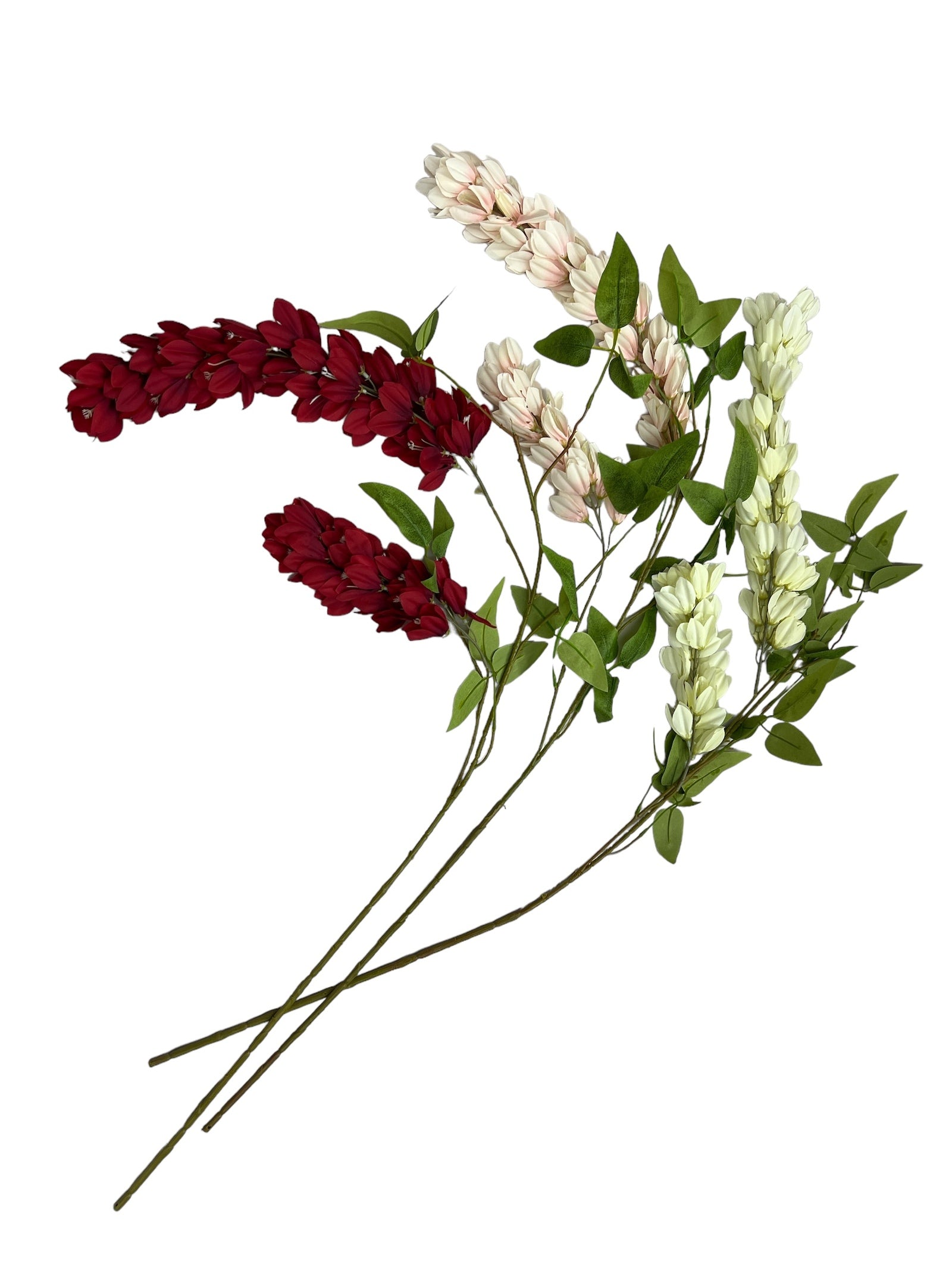 Photoroom_20240806_124157