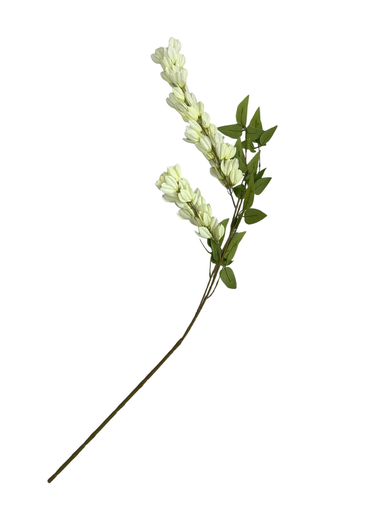 Photoroom_20240806_124240