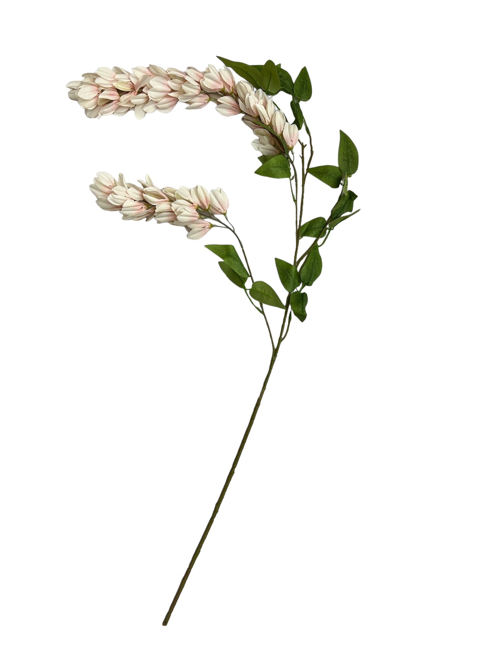 Photoroom_20240806_124307