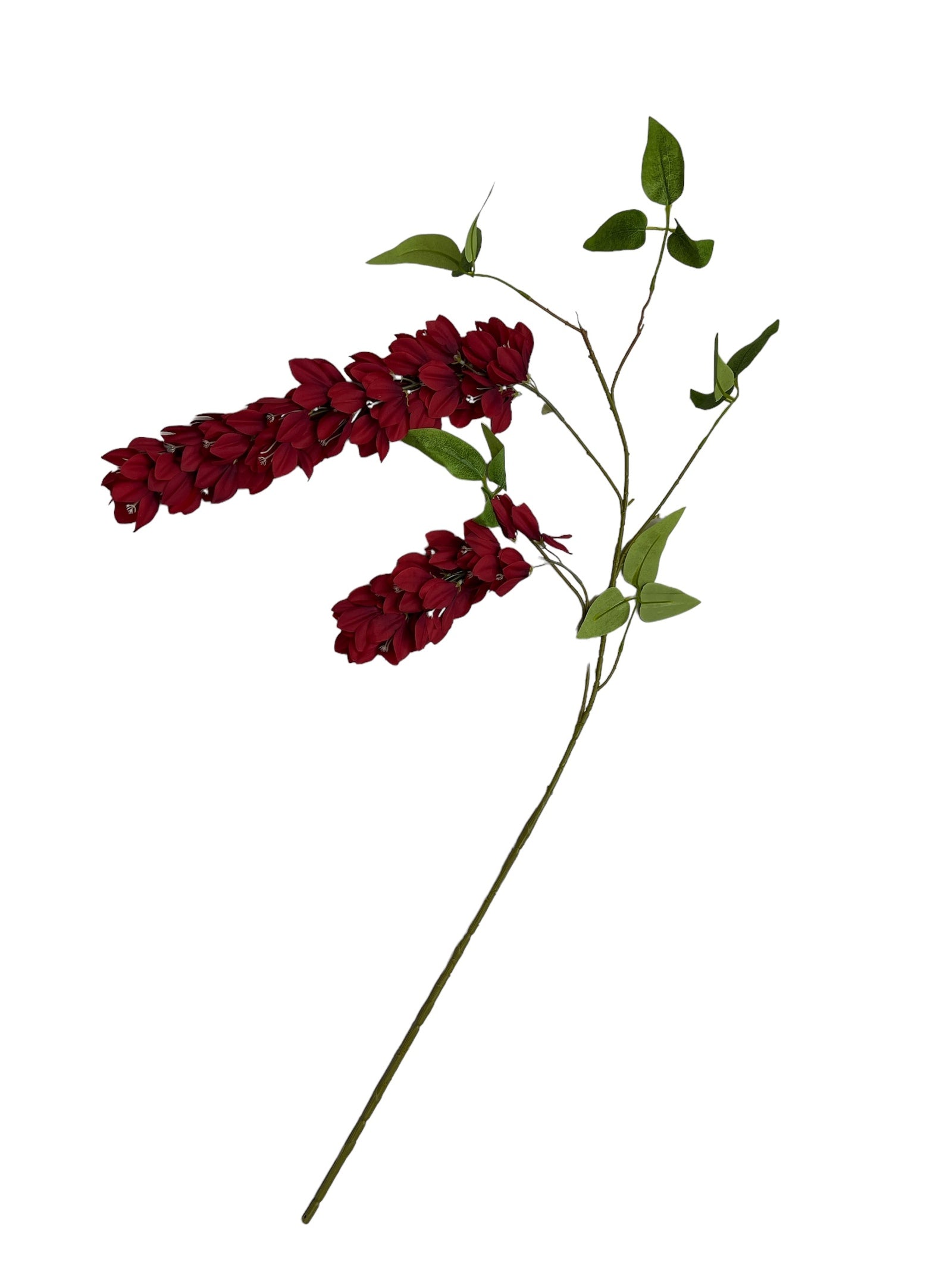 Photoroom_20240806_124348