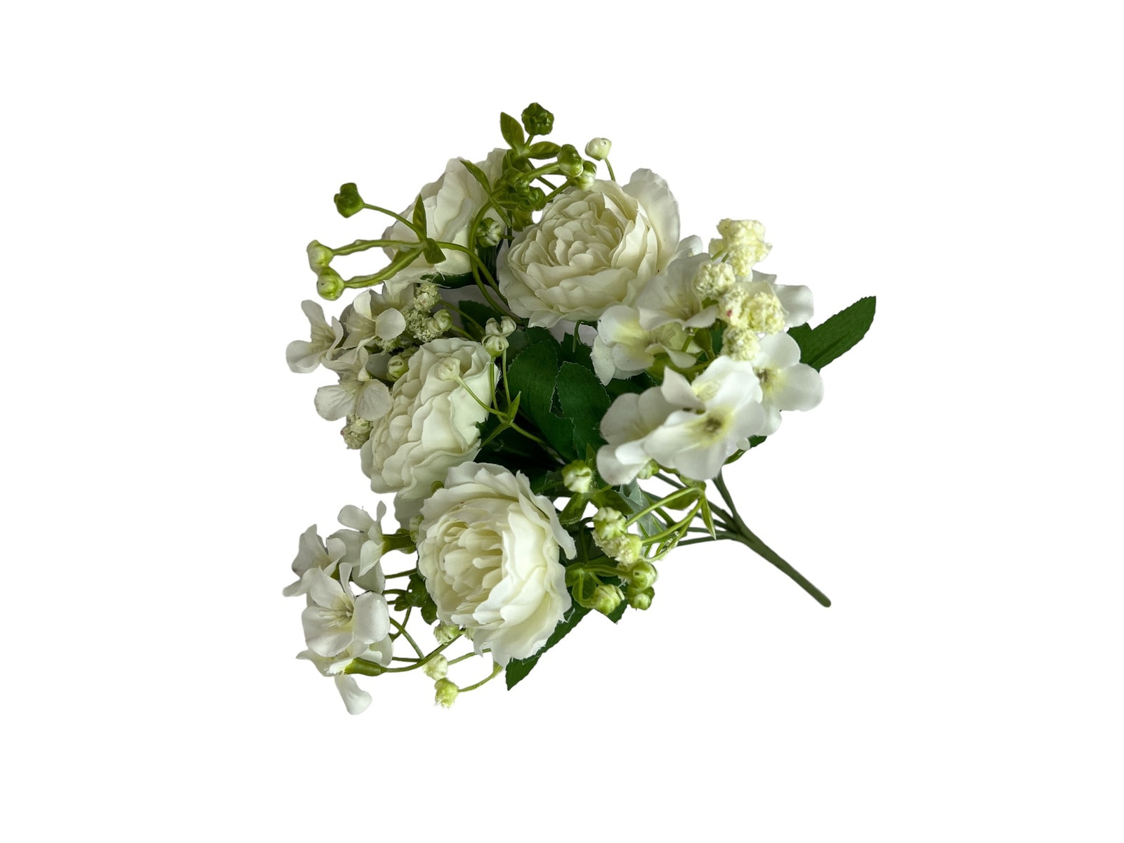 Photoroom_20240806_125544