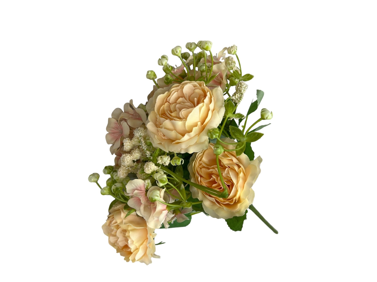 Photoroom_20240806_125619