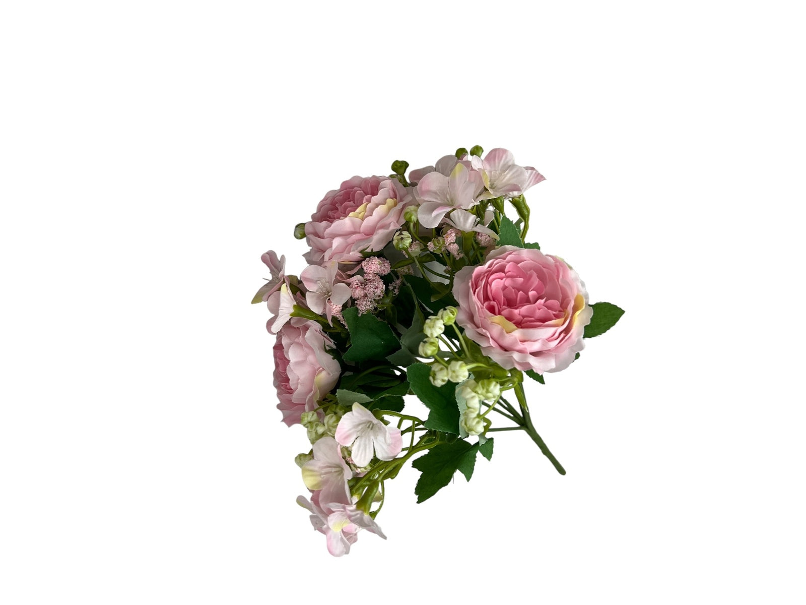 Photoroom_20240806_125709