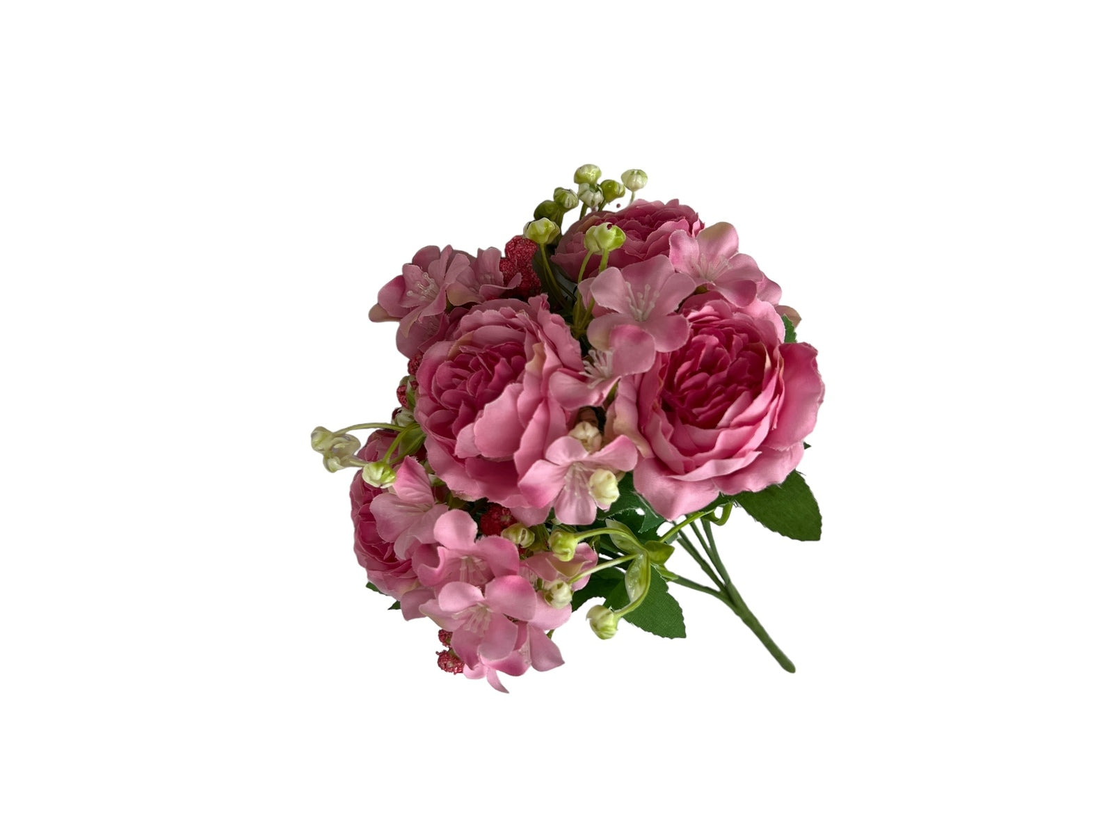 Photoroom_20240806_125733