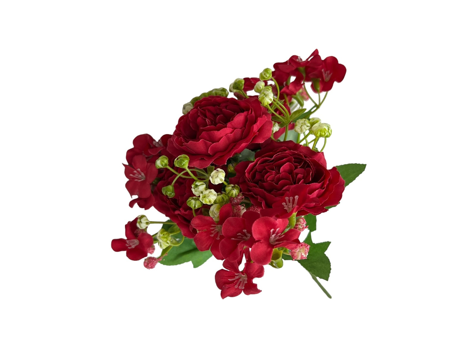 Photoroom_20240806_130022