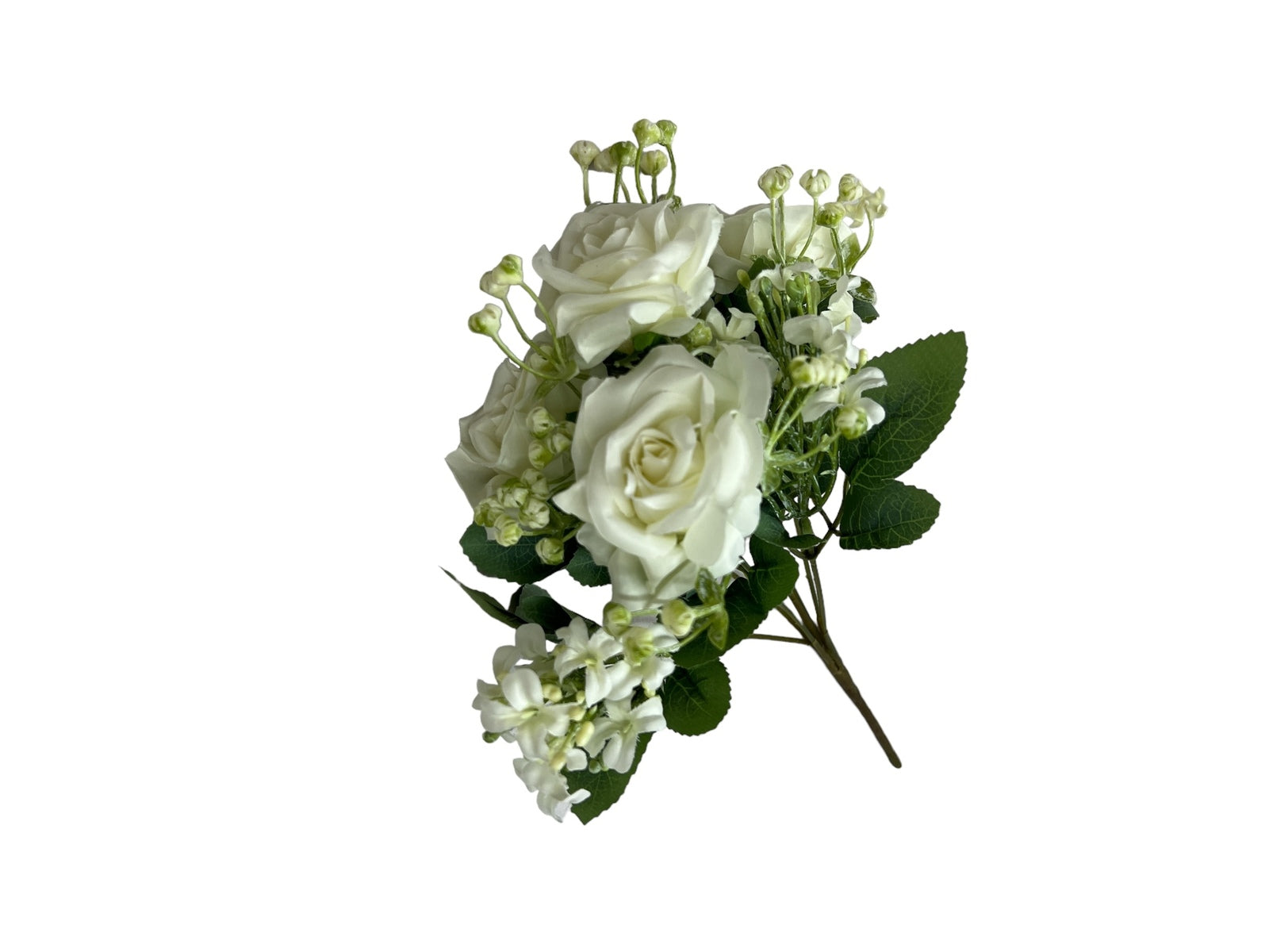 Photoroom_20240806_130458