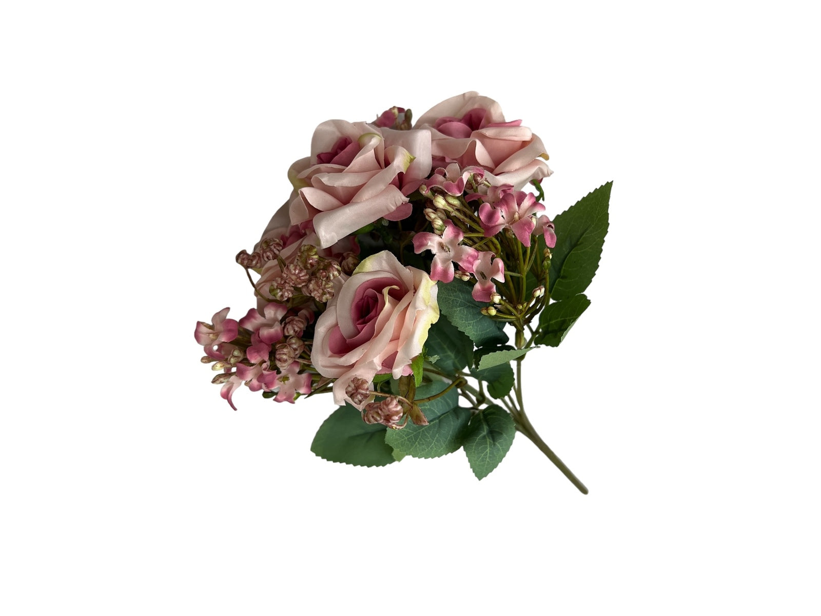 Photoroom_20240806_130600