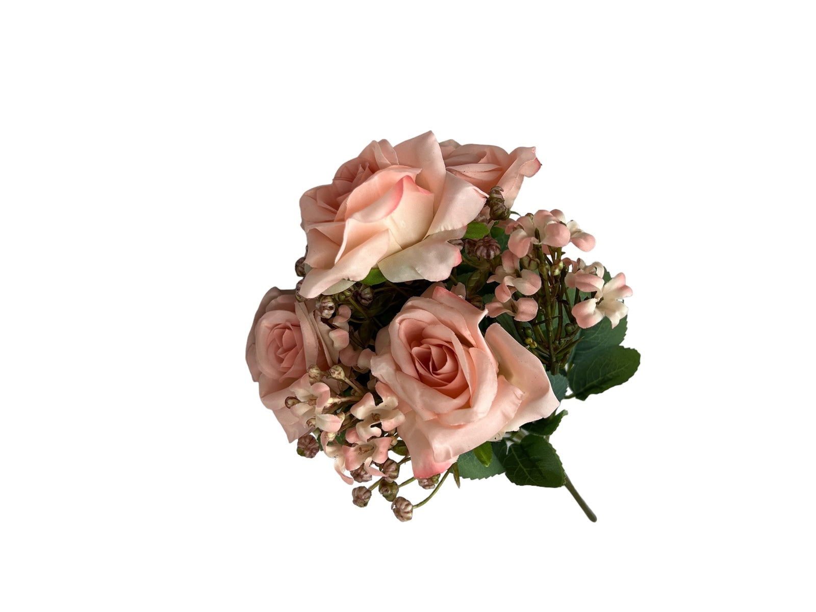 Photoroom_20240806_130633