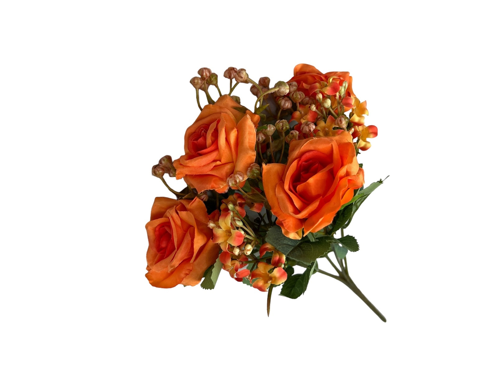 Photoroom_20240806_130700