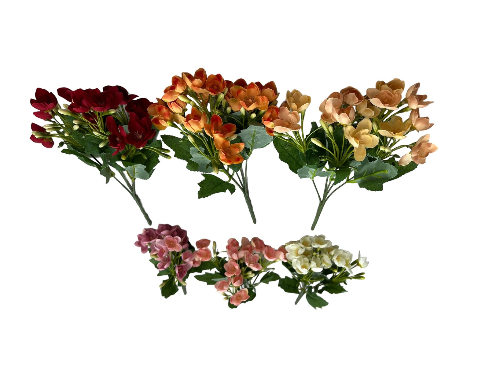 Photoroom_20240806_131048