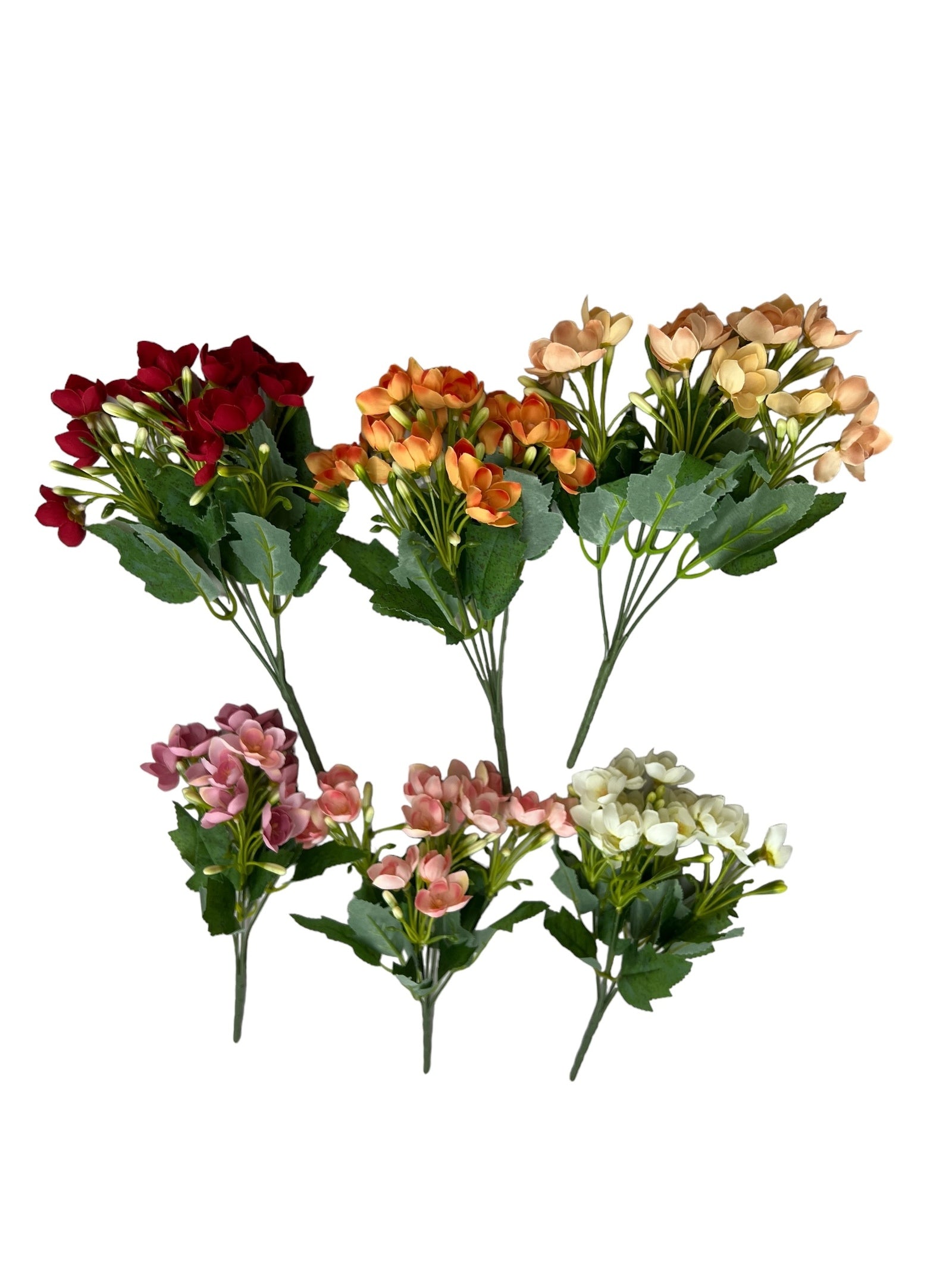 Photoroom_20240806_131125