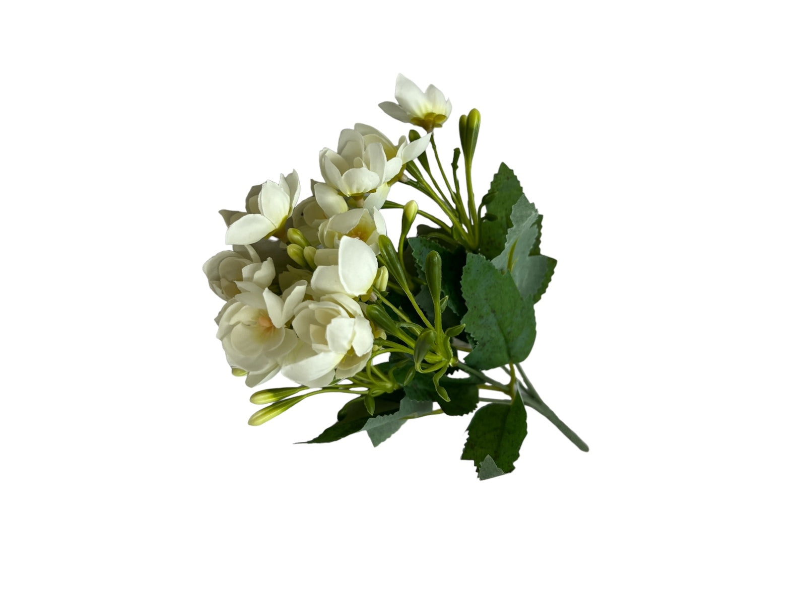 Photoroom_20240806_131302