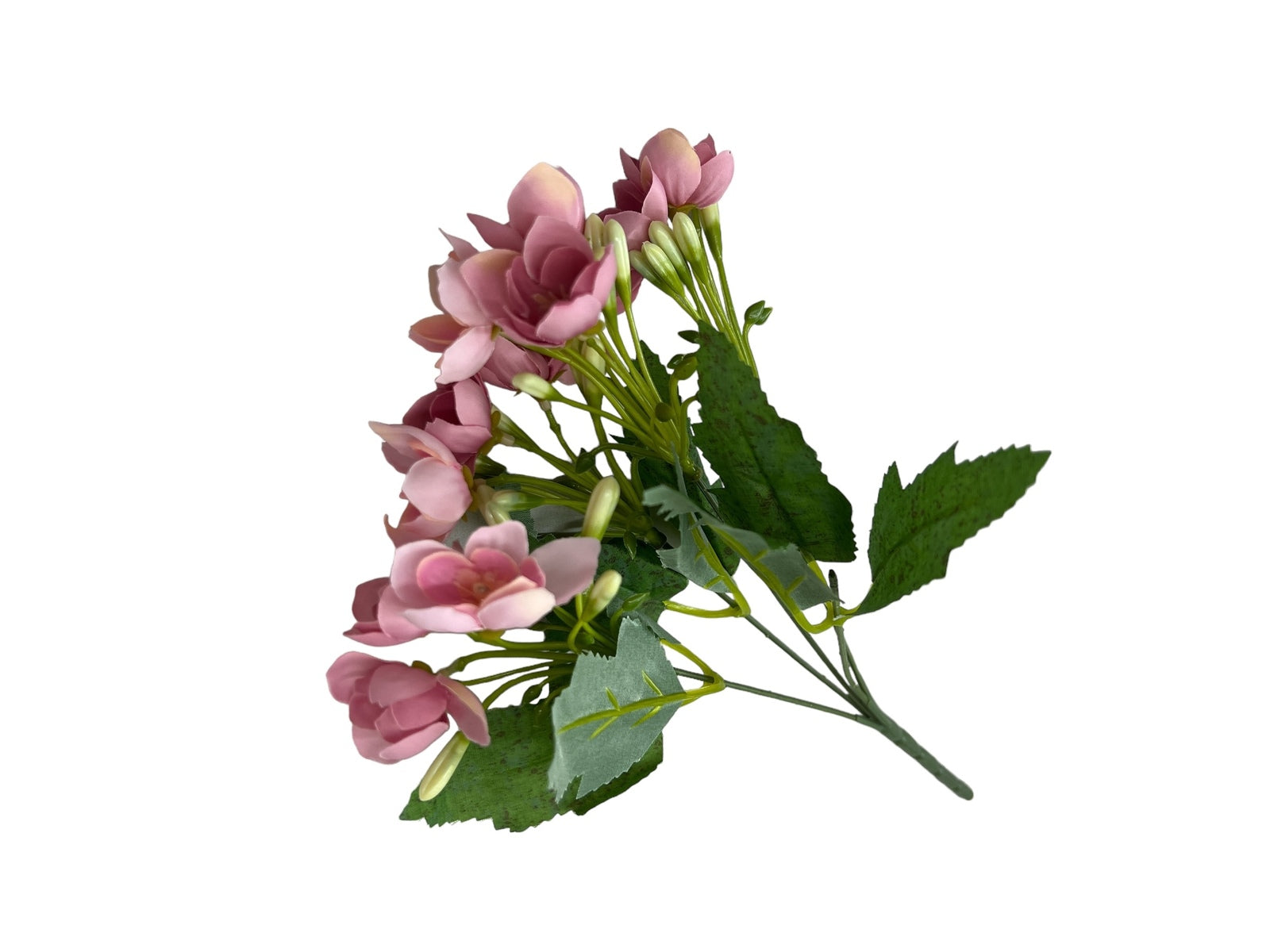 Photoroom_20240806_131515