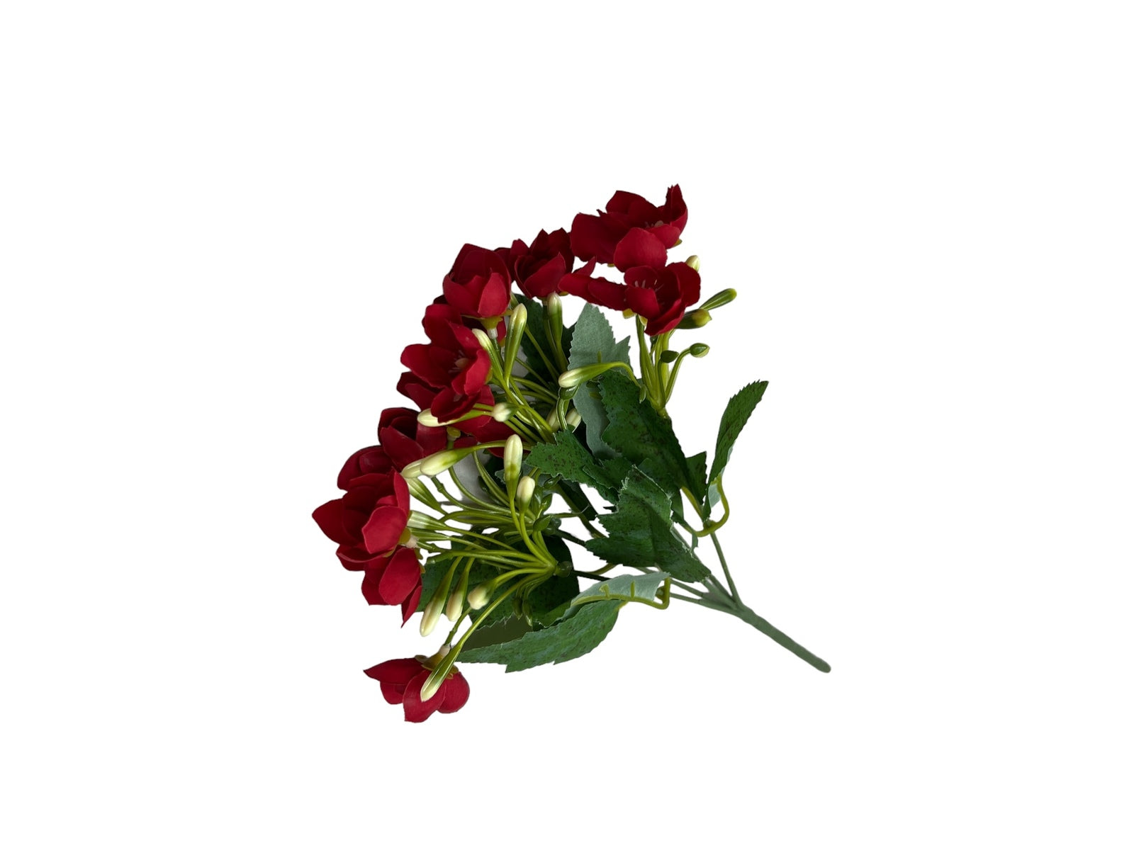 Photoroom_20240806_131618