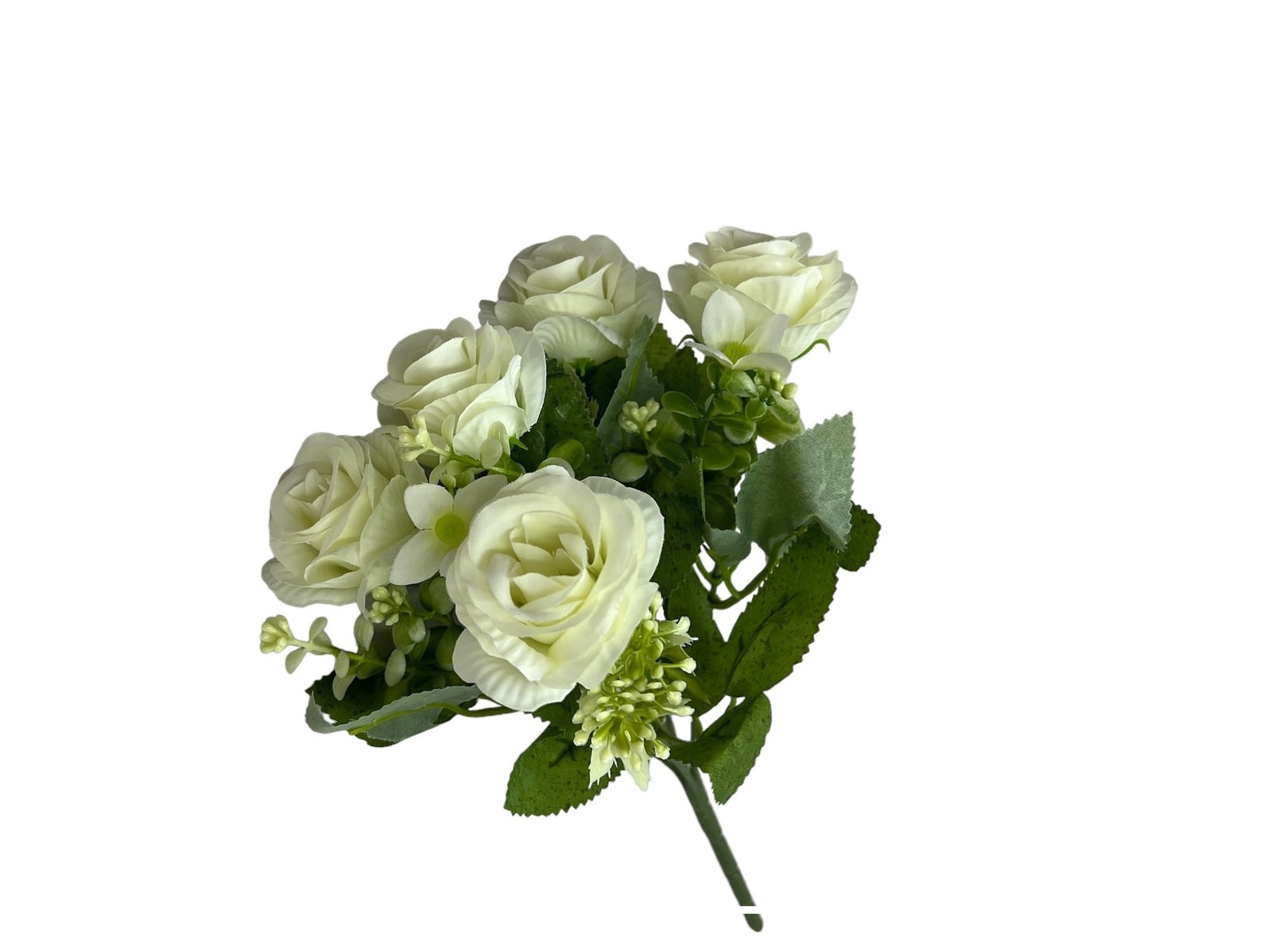 Photoroom_20240806_132250