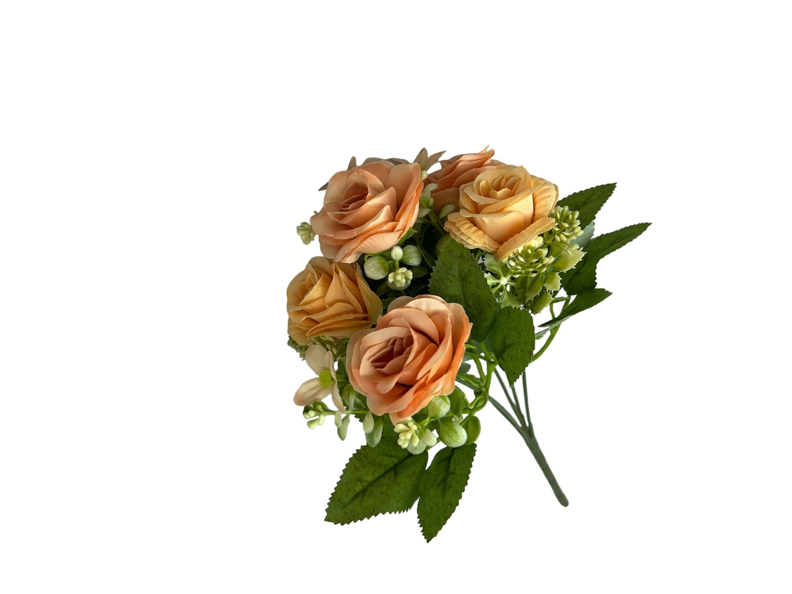 Photoroom_20240806_132420