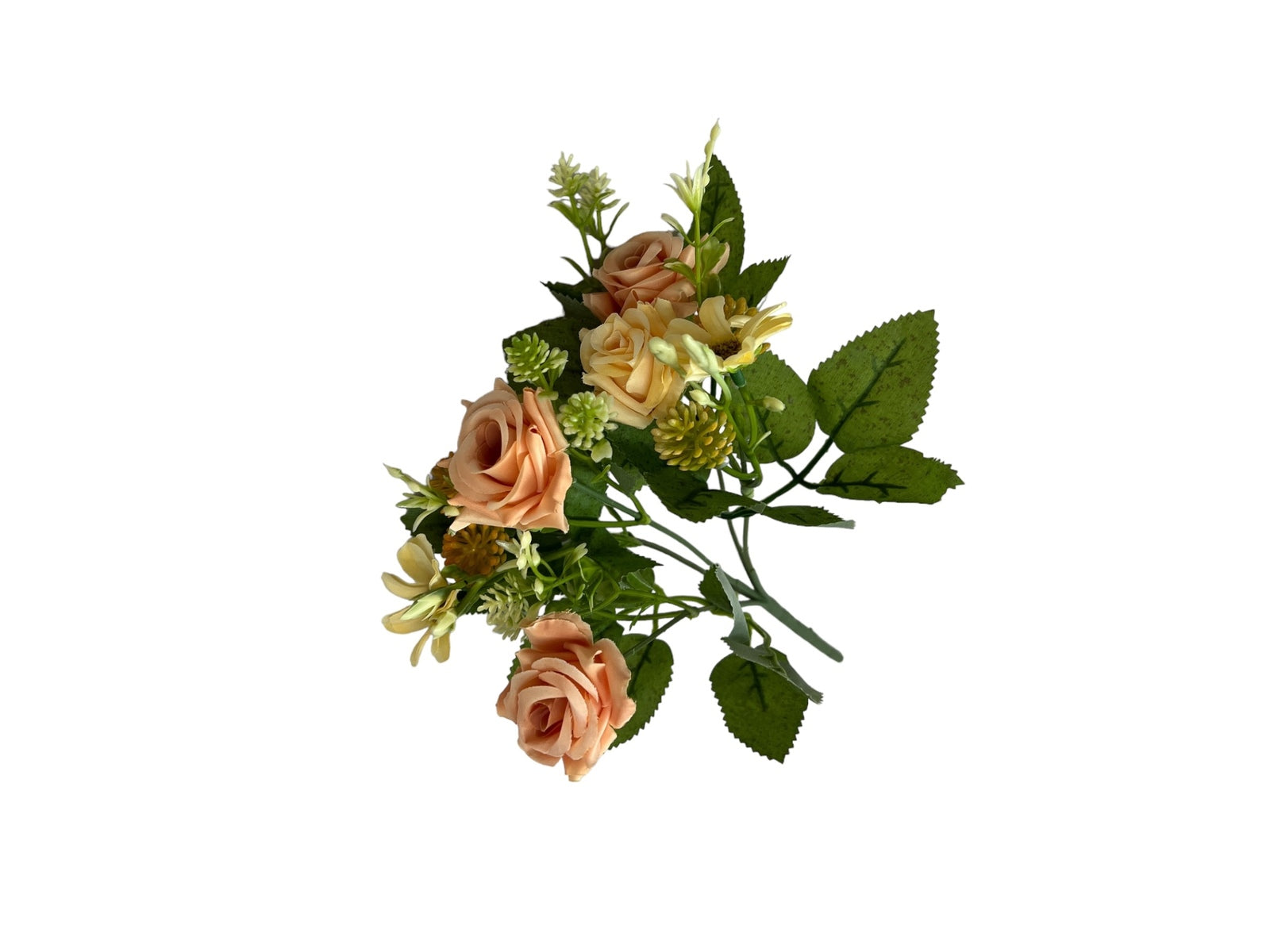 Photoroom_20240806_132950