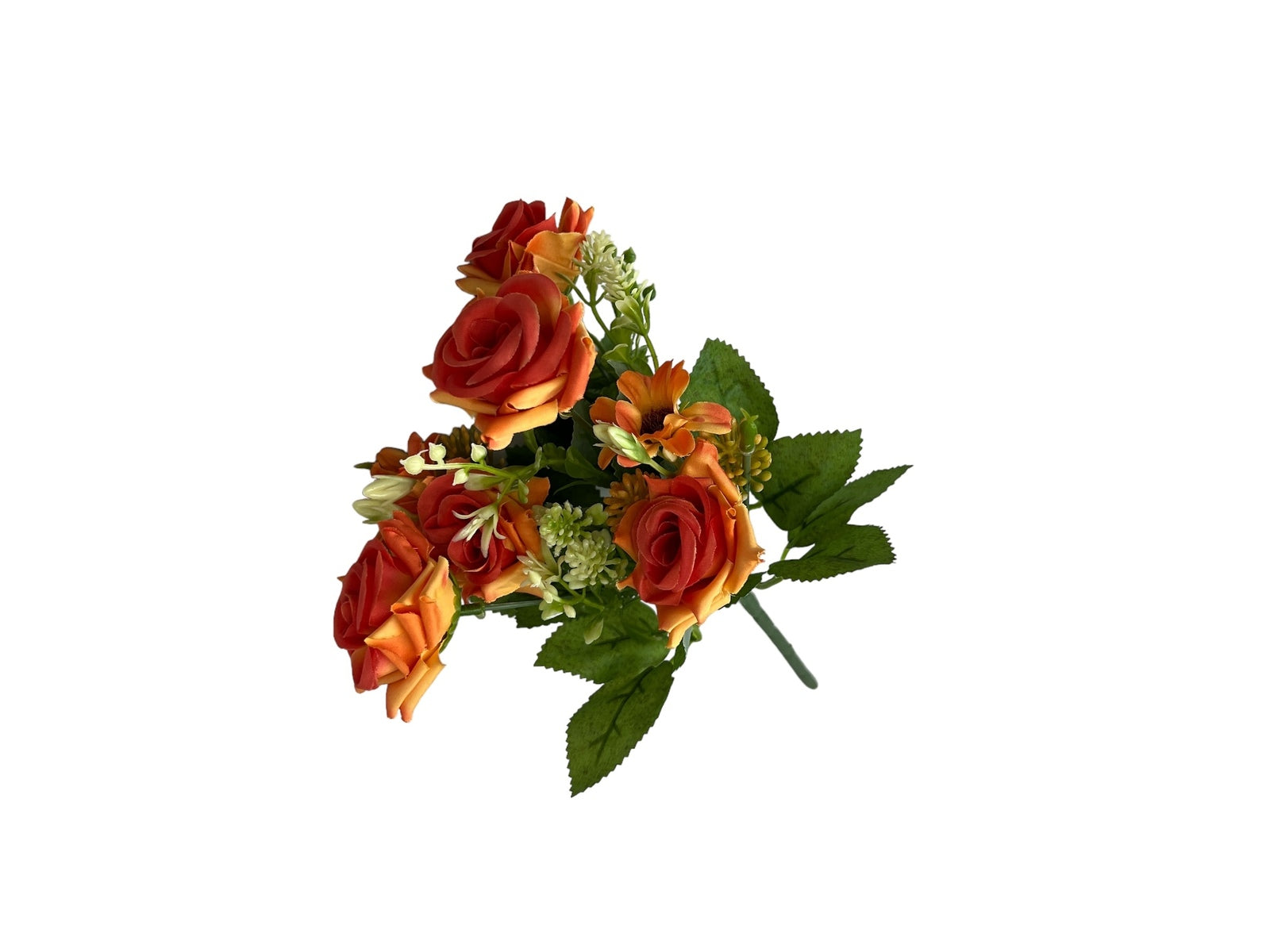 Photoroom_20240806_133014