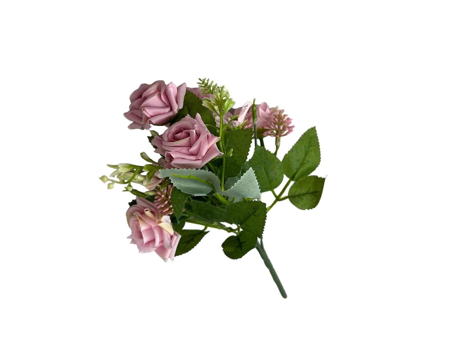 Photoroom_20240806_133133