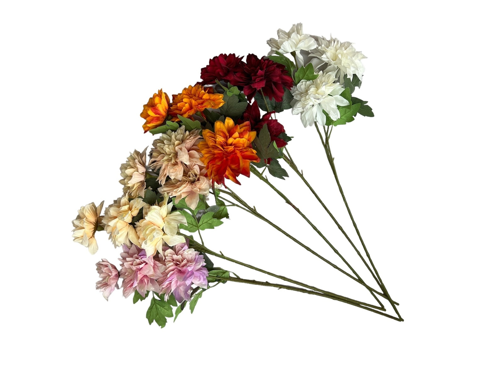 Photoroom_20240807_103859