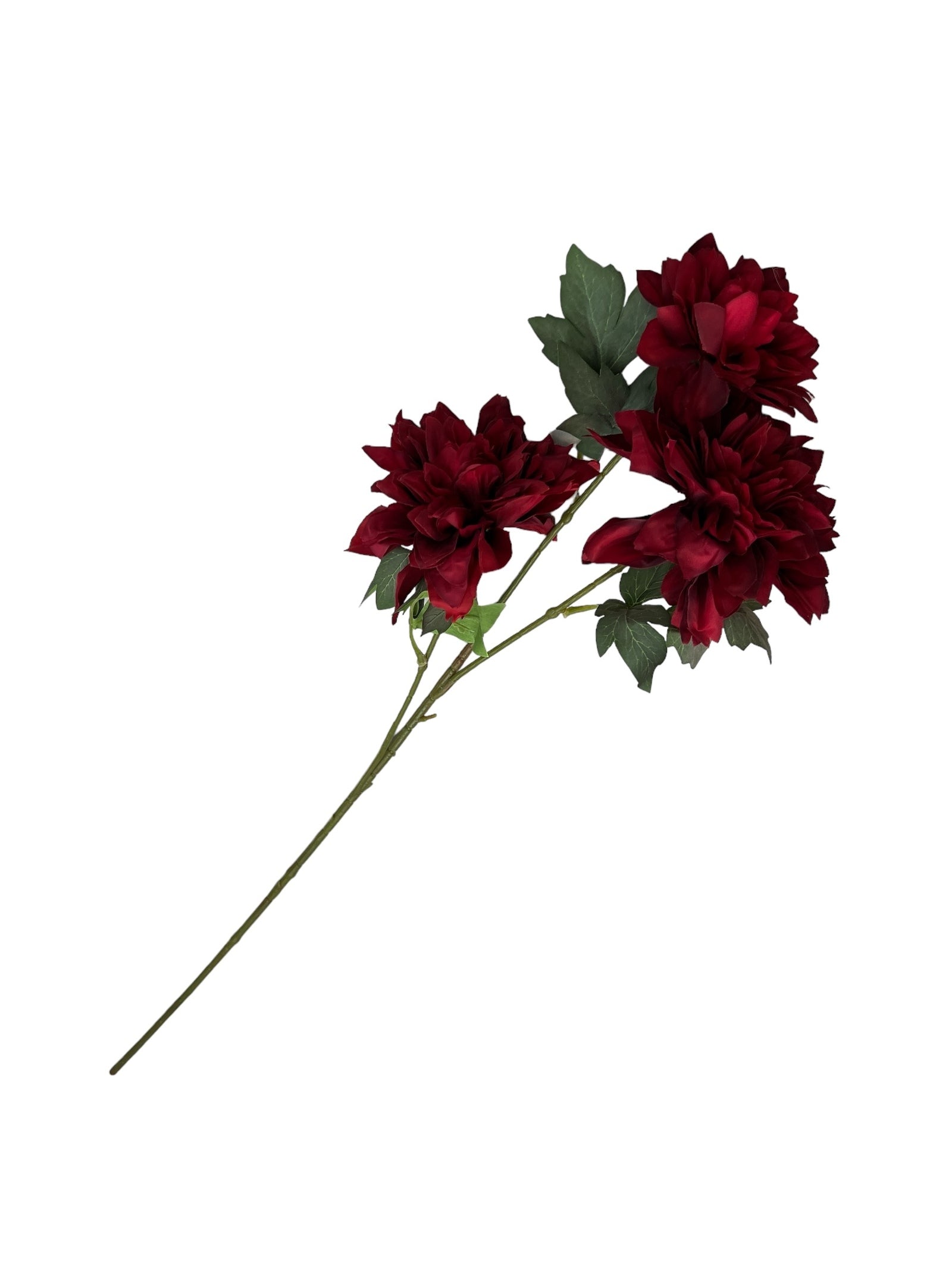 Photoroom_20240807_104317