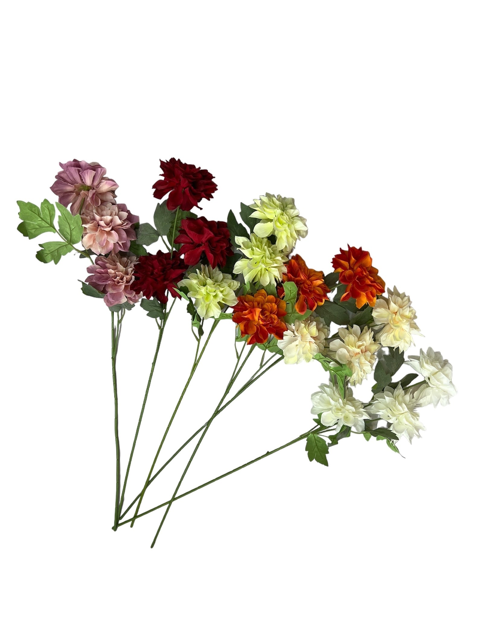 Photoroom_20240807_104515