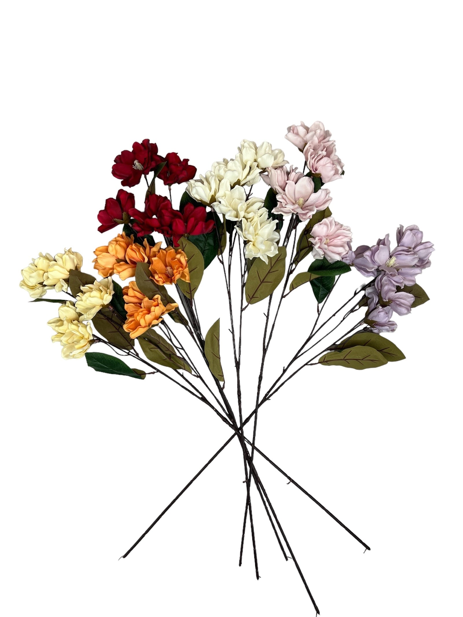 Photoroom_20240807_125853