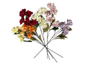 Photoroom_20240807_125918