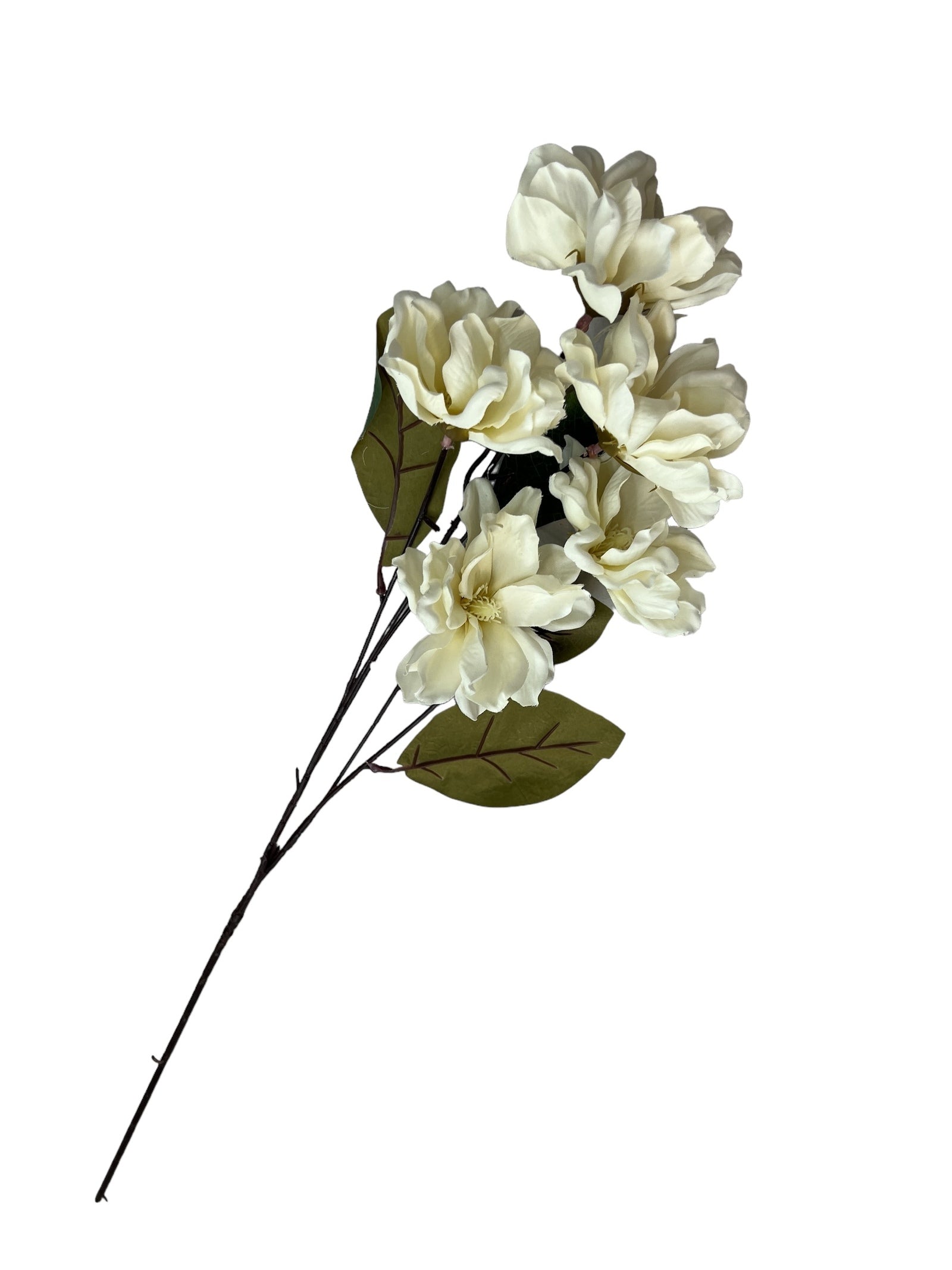 Photoroom_20240807_130012