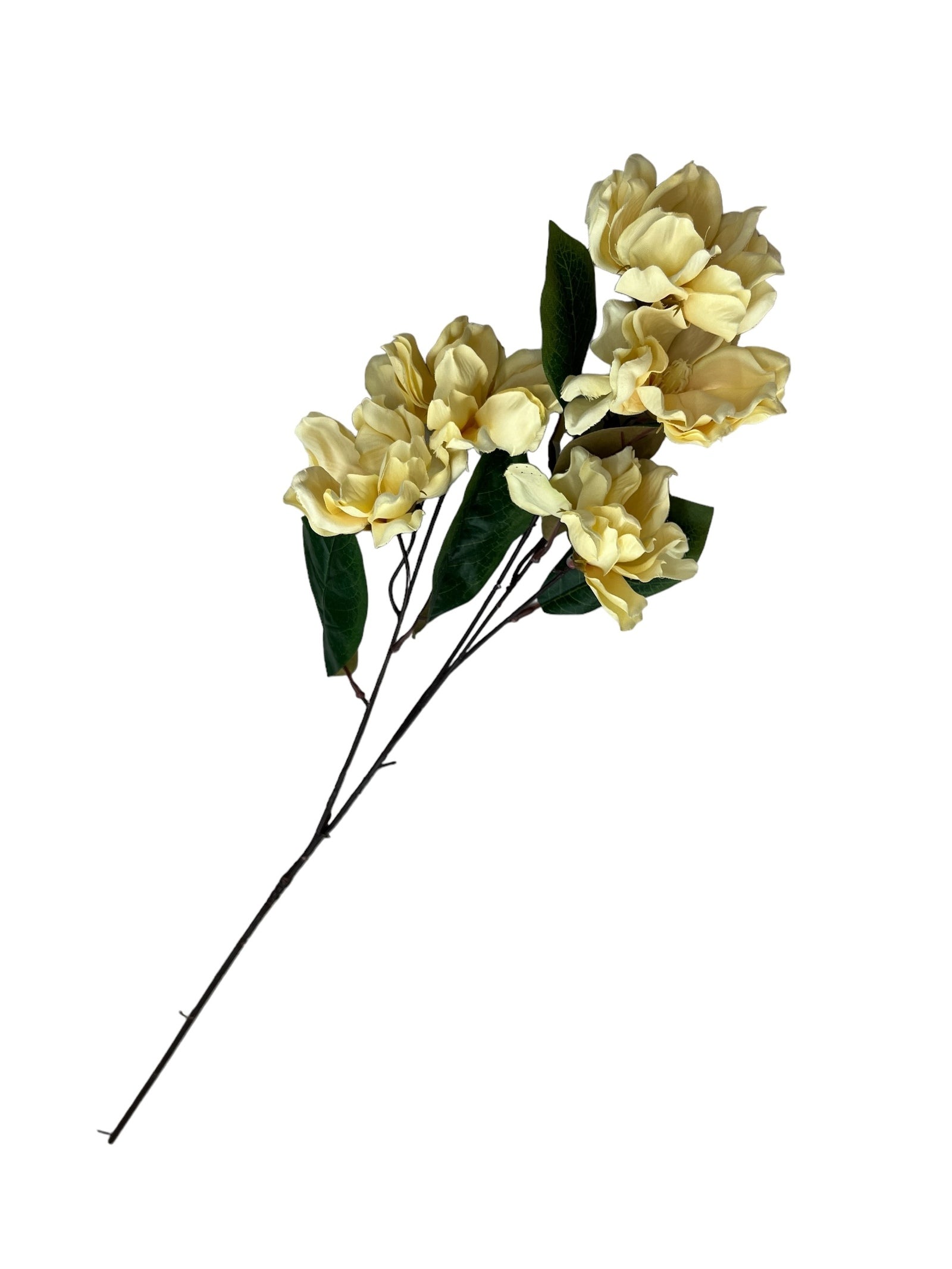 Photoroom_20240807_130047