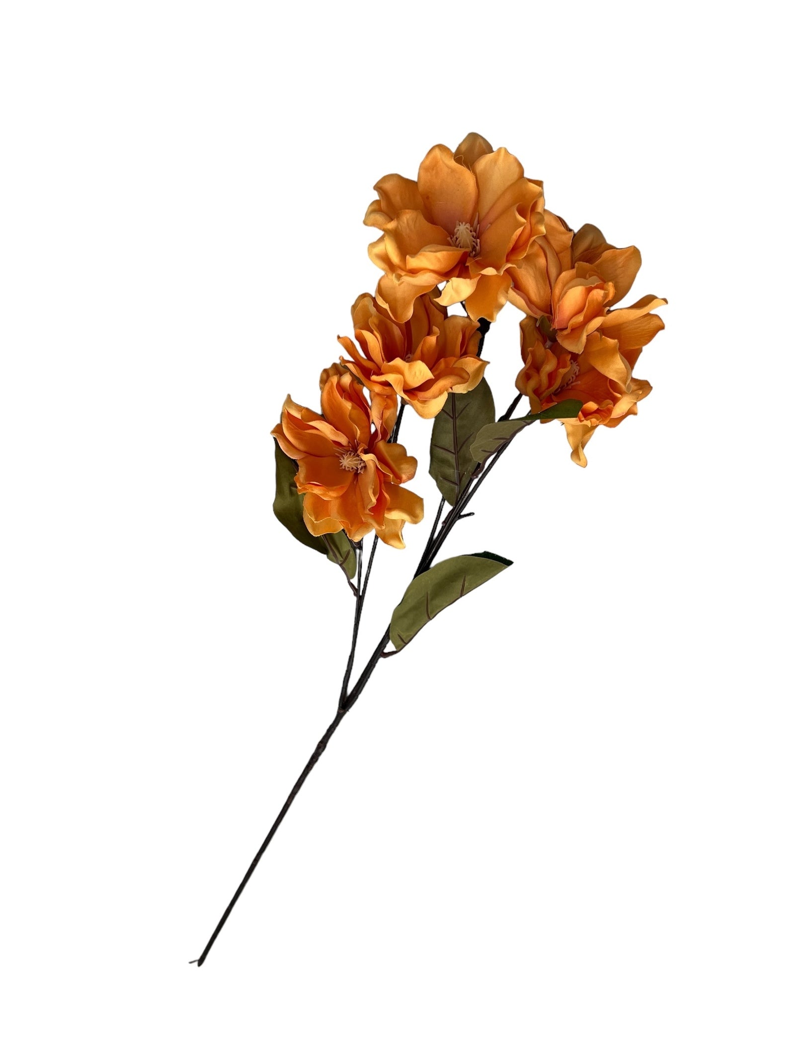 Photoroom_20240807_130130